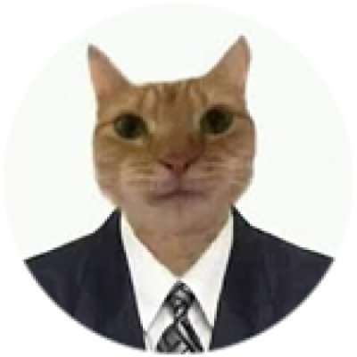 youngmeows_osrs's profile picture. young meows/tiny meows 😺