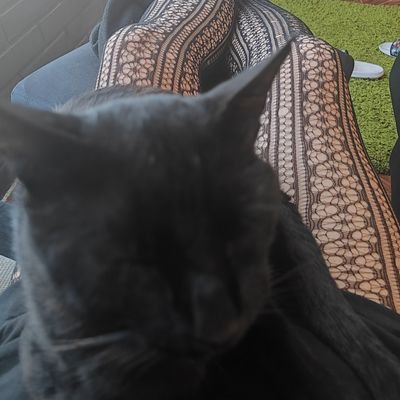 liaisi12199's profile picture.