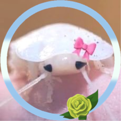 Fl3shm4gg0t's profile picture. @1nf3st4tion alt acc | bodily 20 | 🏳️‍⚧️ he/him | certified fаggоt for @unstablers1mp | block dont argue, or do that’s funny | CCS BLOCKED not ”wss”