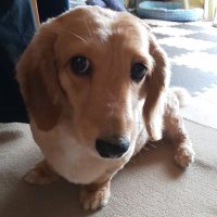 ななちん (@nanachin47) 's Twitter Profile