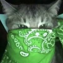 JoelUchihaXD's profile picture. 