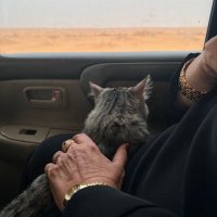 . (@iiii6xx) Twitter profile photo