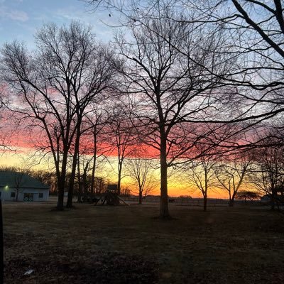 saturnsam_'s profile picture. I have too many hobbies to count