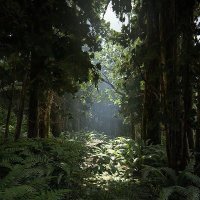 Nekolai (@1nekolai) 's Twitter Profile Photo