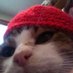 des :D (@sunrisebeanie) Twitter profile photo des :D (@sunrisebeanie) Twitter profile photo