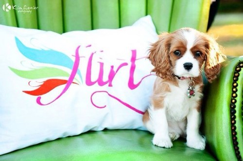 _FlirtBoutique's profile picture. Flirt is Florence, SC favorite for ladies clothing and accessories! Perfect prices and a fun selection! Check us out on Facebook or stop by the store!