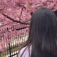 WhiteApple (@whiteapple4949) 's Twitter Profile