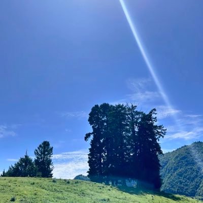 D651234's profile picture. 