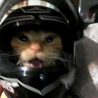 WittleRain's profile picture. My server is better than yours