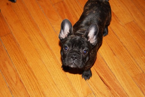 Sydneymaley's profile picture. 