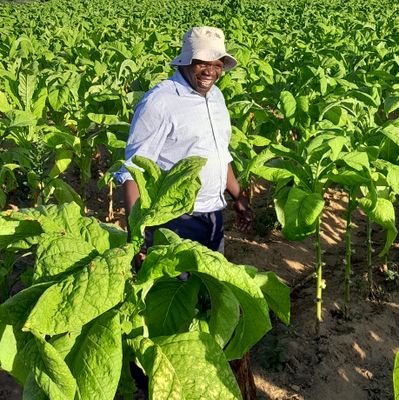 Farmer, poultry 🐔 and Tobacco/  Love old skool lTv Series Addict|football|Music Lover|Caps Utd fan| 🇿🇼