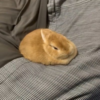 milkybonnibon's profile picture. and maybe some faith would do me good.