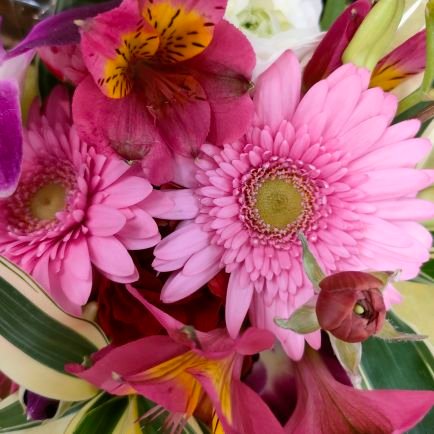 yousei_rainbow's profile picture. 穏やかに平和に安全に💐2024💐

花アンからの💖鈴木亮平さん💖蔵之介さん💖ディーンさん等色々、応援🚩😃🚩自然🍀音楽🎵お花🌺スイーツ🎂旅行💞等々大好きがいっぱい💐

🎊㊗2023⚾WBC以来💖大谷選手💐応援🙏角野隼斗さんも応援中🎶🎹💕です(^^)/