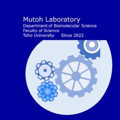 本アカウントは東邦大学理学部習志野キャンパスの武藤研究室の活動を発信しています。 興味を持ってくださった方はお気軽にご連絡ください!大学院生も募集中です! #ラボ