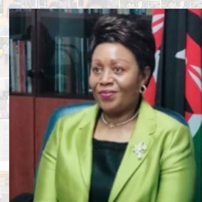 Director UN and Multilateral Affairs Directorate Ministry of Foreign Affairs, Nairobi, KENYA. Immediate Former ambassador to Italy .