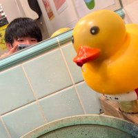 たにちゃん (@icryh) 's Twitter Profile