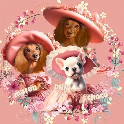 chiiii213m's profile picture. フレブル…みるく5歳︎︎ ♀先天性椎体奇形(重度)で2歳の時に手術(2回)後ろ脚に麻痺が残りリハビリ中🐷🐾 2歳8ヶ月で免疫介在性の関節炎と診断され治療→現在は免疫抑制剤を投薬しながら寛解🐷時々登場するのはMダックス…チョコ13歳︎︎とマロン7歳︎︎ 優しいお姉ちゃんです🐶🐶(カメラ嫌いのチョコは登場少なめ)