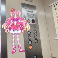 (株)プリキュアエレベーター(嫁は日野あかね/キュアサニー🔥)(@precureEV) 's Twitter Profile Photo