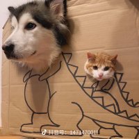 iiii (@sipiv746) 's Twitter Profile