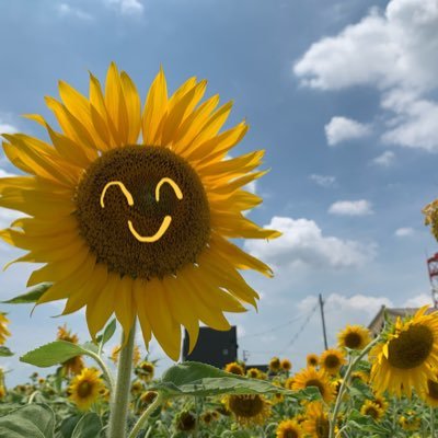 guruguruuzuuu's profile picture. 髙地優吾さんがだ〜いすっき！！