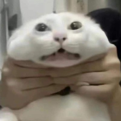 Nguyn60999348's profile picture. 