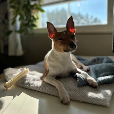 tikkala_teija's profile picture. 