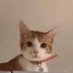 𝑐𝑎𝑠𝑢𝑘𝑒 (@casuke_) Twitter profile photo 𝑐𝑎𝑠𝑢𝑘𝑒 (@casuke_) Twitter profile photo