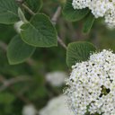 Abbie Lawrence - @DangerNoodels - Twitter