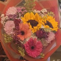 Poblanitosth (@poblanitosth) 's Twitter Profile