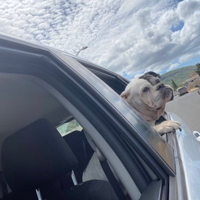 cliffordc119's profile picture. 🎲 🎲 Charts