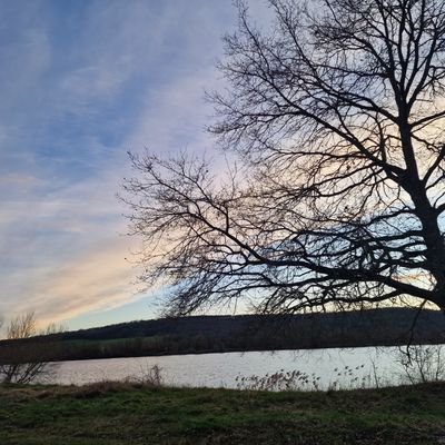 oupsla54's profile picture. 🔞⛔️contenu explicite⛔️🔞
en manque d affection