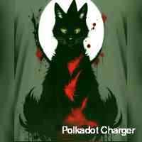chargerpolkato's profile picture. Nft admirer and promoter • 180k supporters • dm for promotions • nfa dyor • btc solana eth