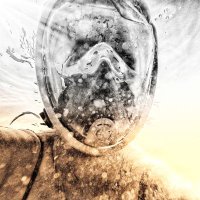 Dragana VM (@_diviem_) 's Twitter Profile