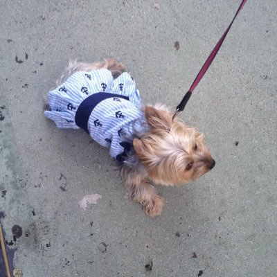 lori_myres's profile picture. staying fit and healthy is necessary