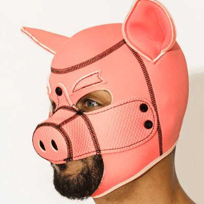 pigspoetry π· Profile
