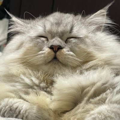 Mlux85kHTE80843's profile picture. 