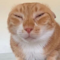 ๋ฑ (@purplerosegg) 's Twitter Profile Photo ๋ฑ (@purplerosegg) 's Twitter Profile Photo