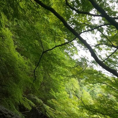 関西在住の新一回生、造船/船舶が好き、囲碁は初段が目標（現三級）、最近はゲーム出来てないです、ガチャは単発教！tk76→神大海洋（応用）