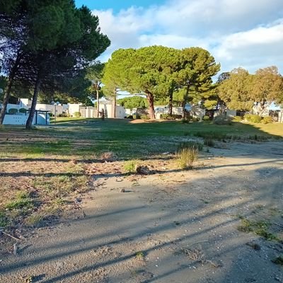 Petit fils de pieds https://t.co/yKTu8e65HU ne reconnais plus mon pays qui sombre ..Wokistes ,LFI,écolos ,khmers vert et macronistes passez votre chemin.