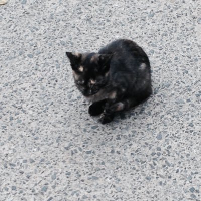 ※不思議な運の持ち主のひとー!!(自称) 89番は和泉つばす先生に自引きしてもらいポスターを貰った神番号 エンタメが好き 熱しやすく冷めやすいオタク 仲良くしてくださると喜びます。黒い船、社会人野球、自転車、ポケカetc…