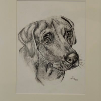 I create custom drawings for your pet