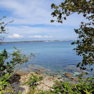 lauraaa00511's profile picture. 