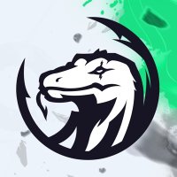 Lizard E-Sports | LZRD (@lizard_esp) 's Twitter Profile