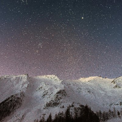 cheezzru's profile picture. 뭐야