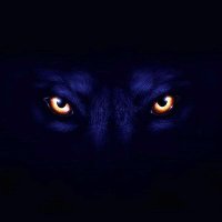 Ak Rajliwal सनातनी 🚩🚩 (@rajliwalak) 's Twitter Profile