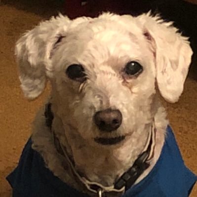 ThatCrzyGuy511's profile picture. Guy that lives in a padded cell, a padded cell of DOOM!!!