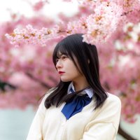 桜庭みゅう(@myu_syrup) 's Twitter Profile Photo