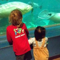 甘えん坊凛空🌸 (@amaenbou_rink) 's Twitter Profile Photo