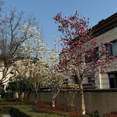 funnyfox's profile picture. 