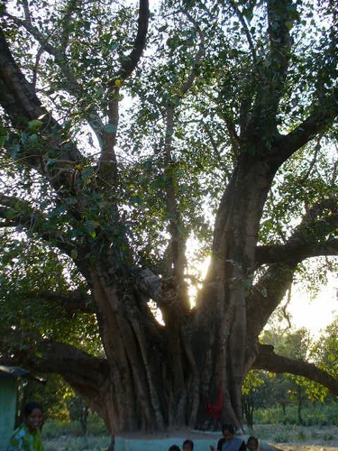 InterMeditation's profile picture. The Interfaith Meditation Initiative brings together religious leaders in interfaith teams to teach meditation in faith organizations and universities.